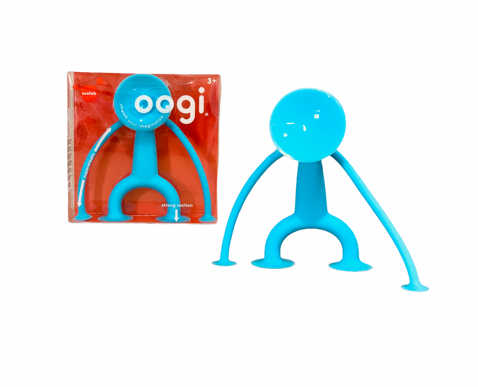 the blue Moluk Oogi large sitting in front of it's box